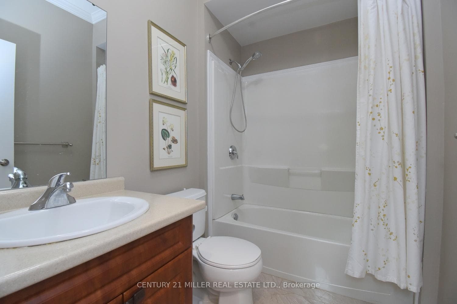 78 Wilkes Street photo 33