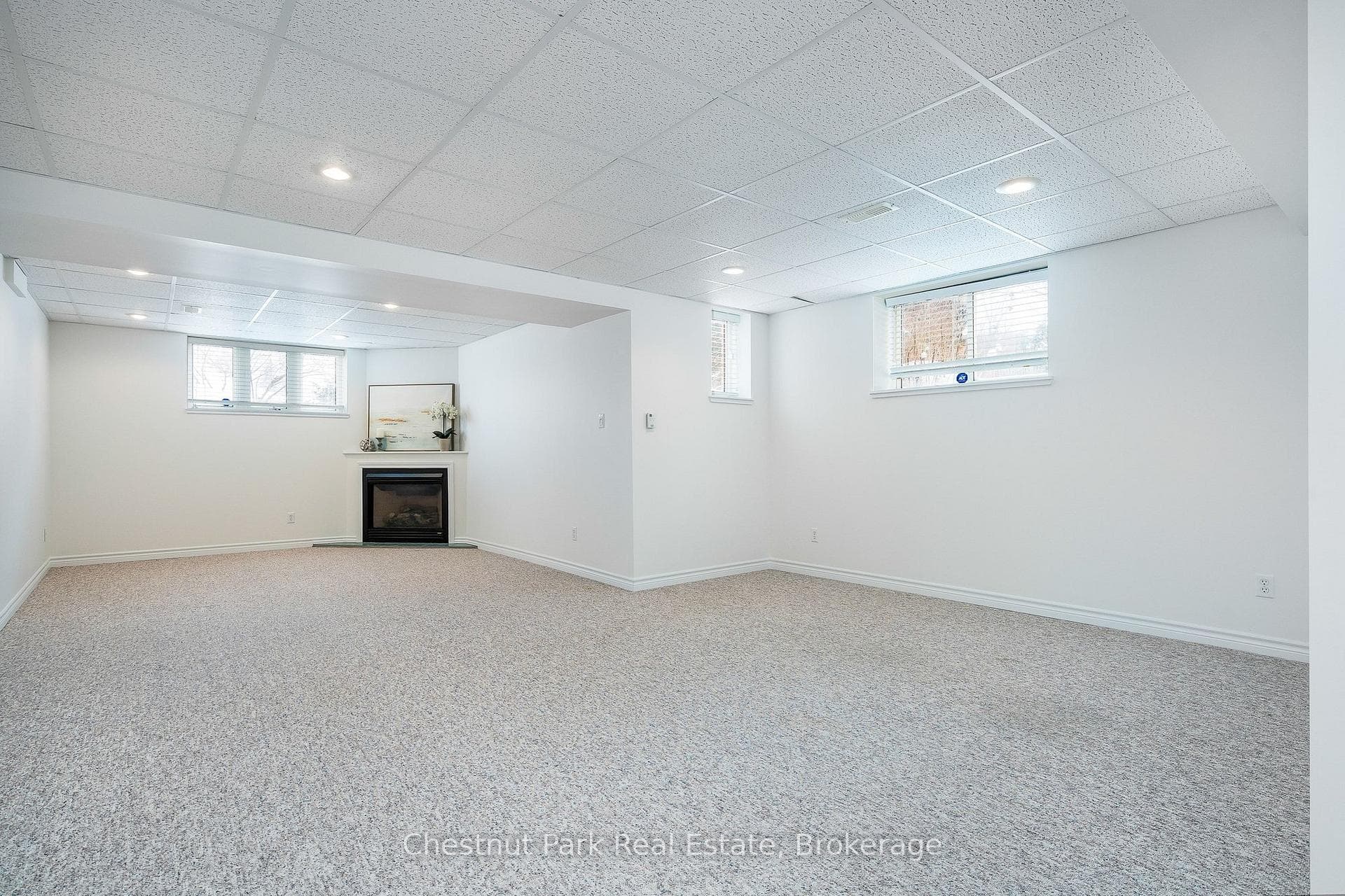 Lower level Recreation Room.