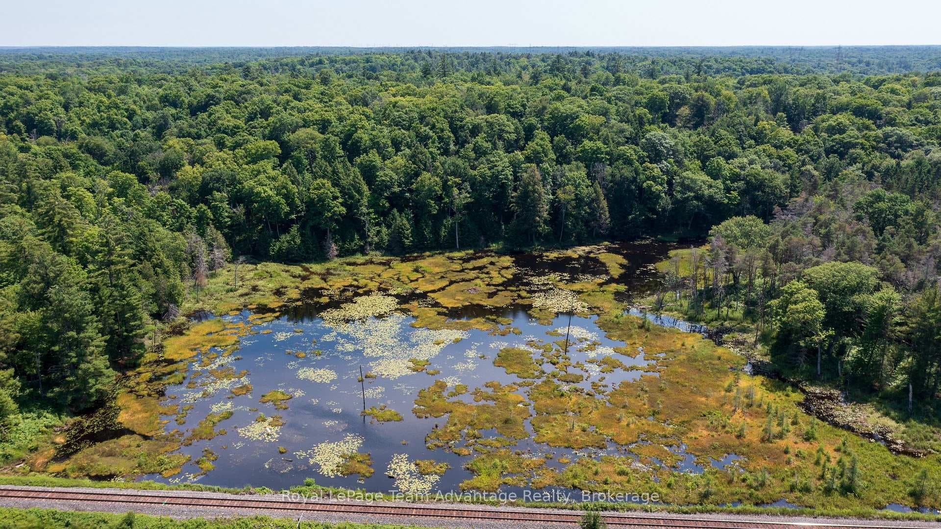 Pond at the back of the property
