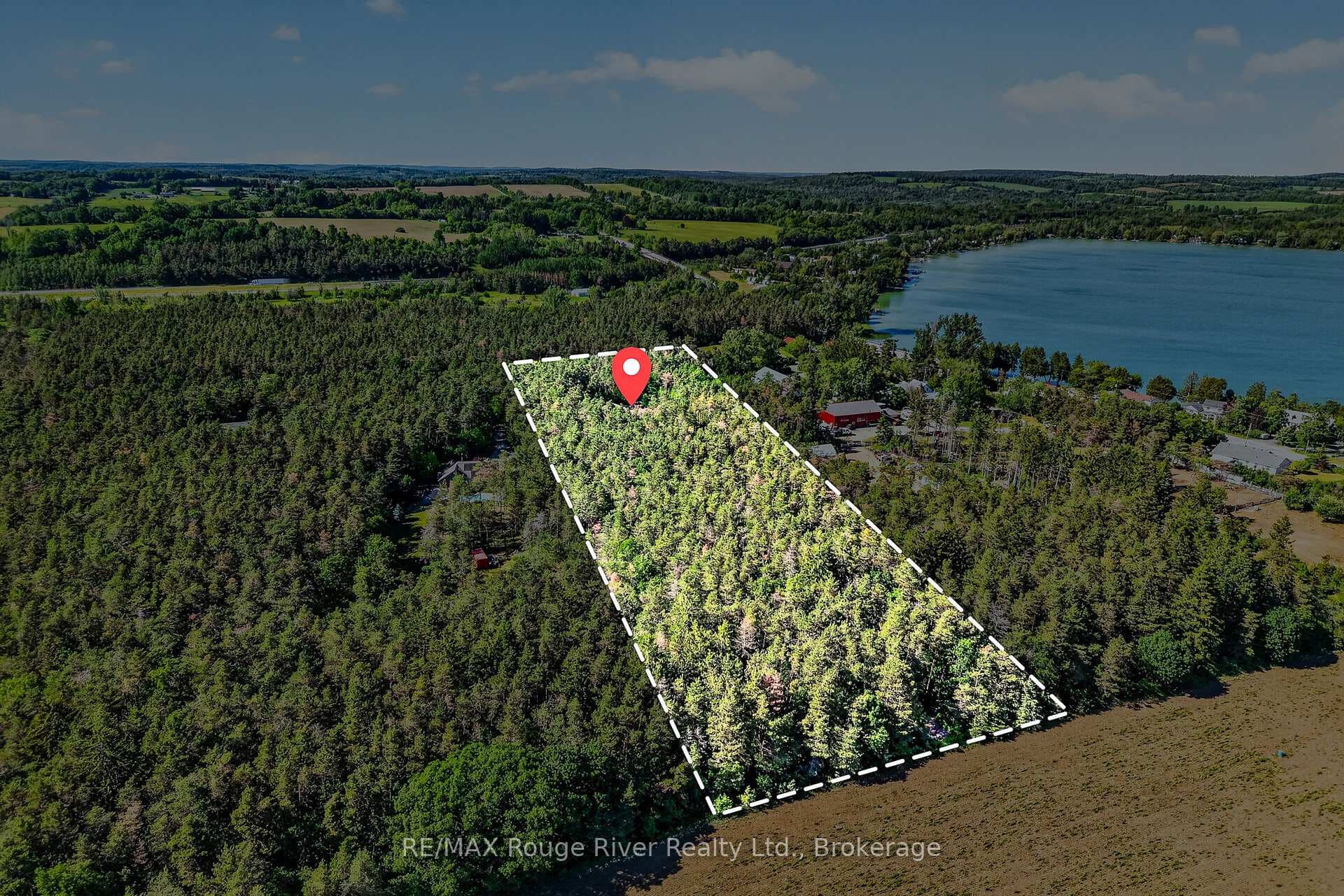 149 Pine Tree Lane photo 5