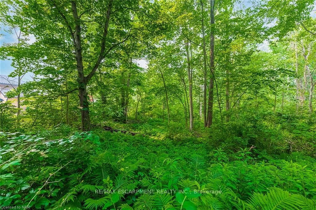 303 Indian Valley Trail photo 18