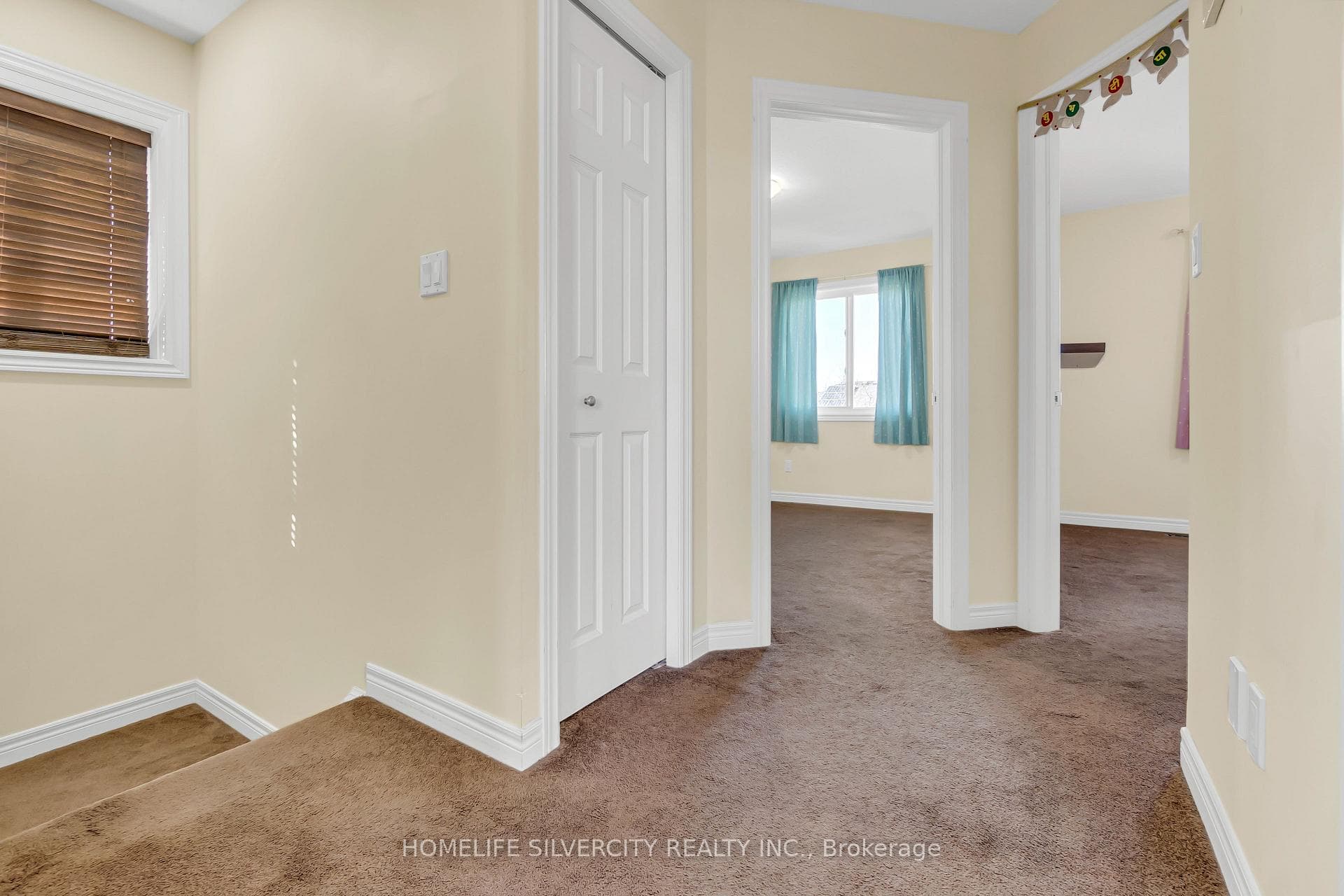 19 Dougall Street photo 22
