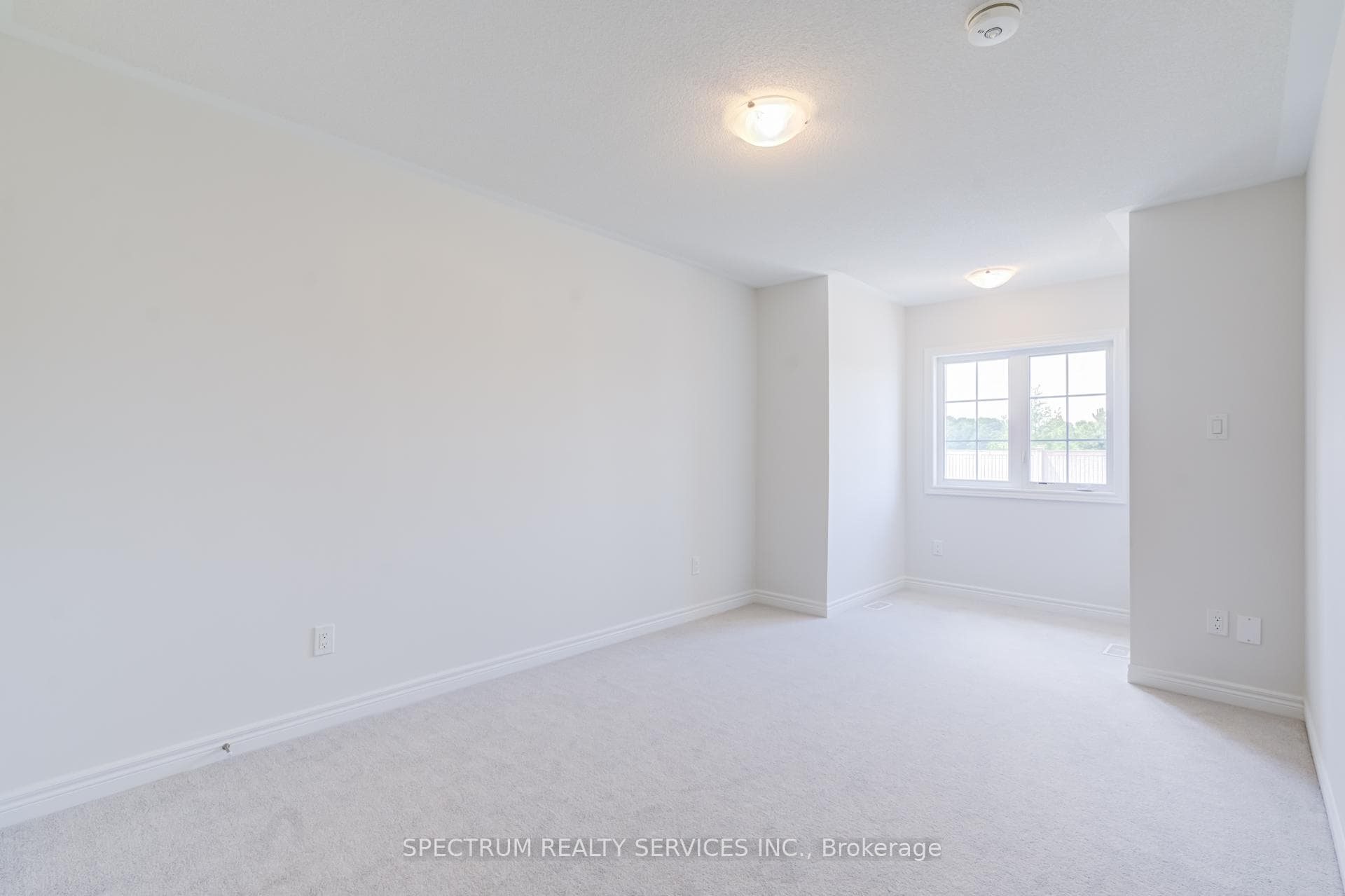 77 Muzzo Drive photo 38
