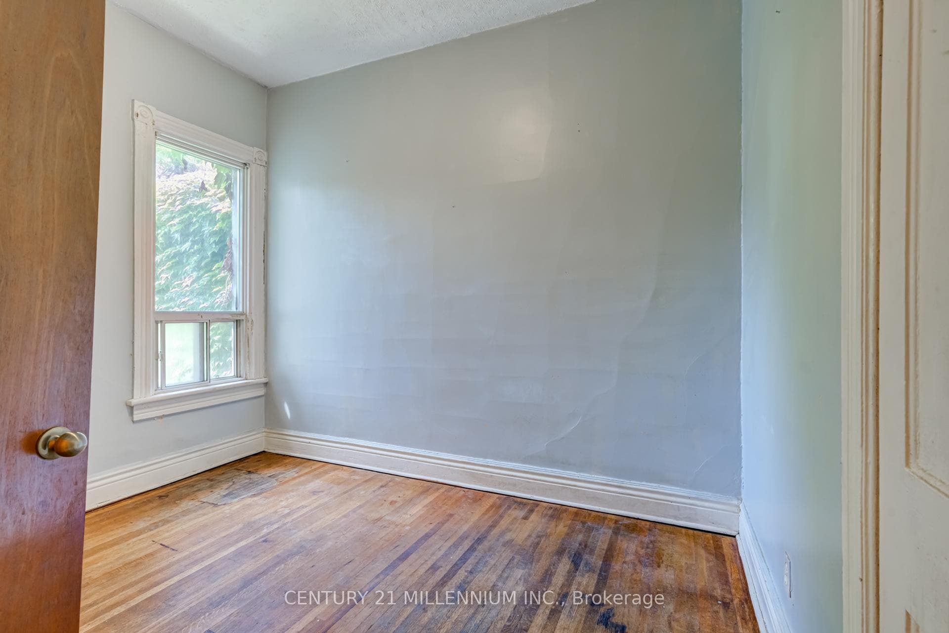 144 Robert Street photo 33