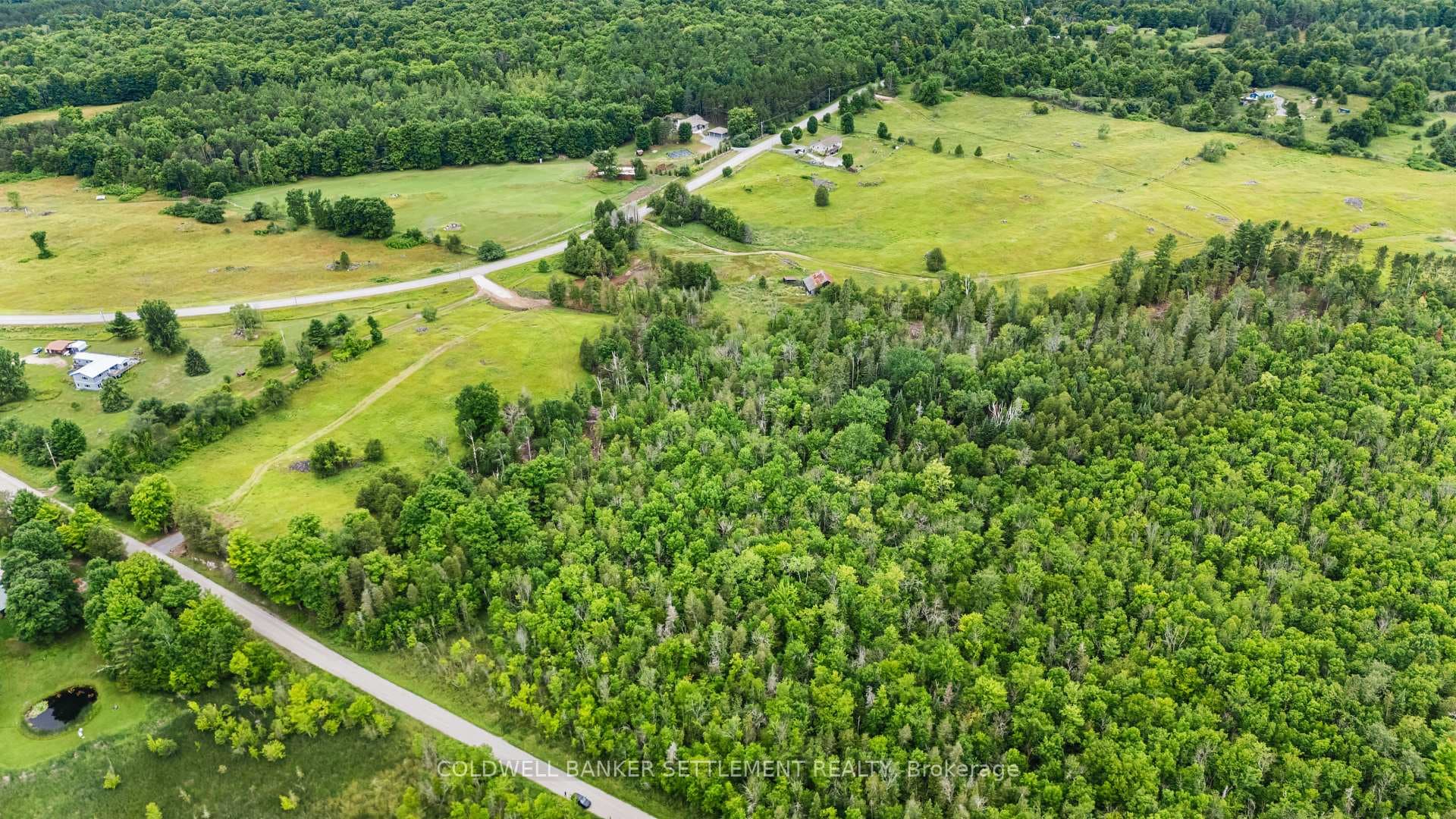 994 Mitchell Road photo 4