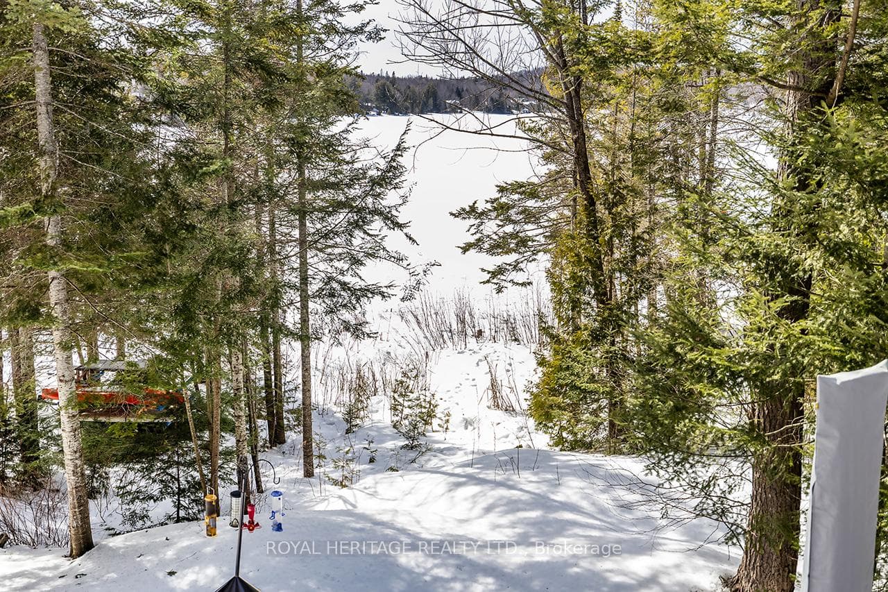 4 PINEDALE Drive photo 39