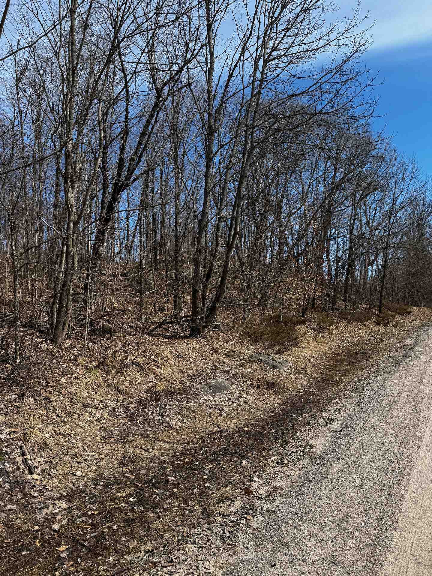Lot 2 Lorimer Lake Road photo 7