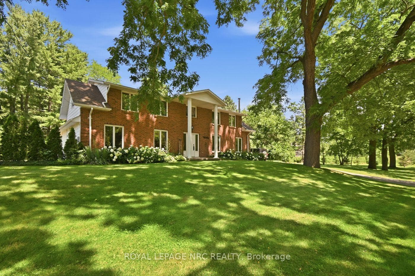 Front yard