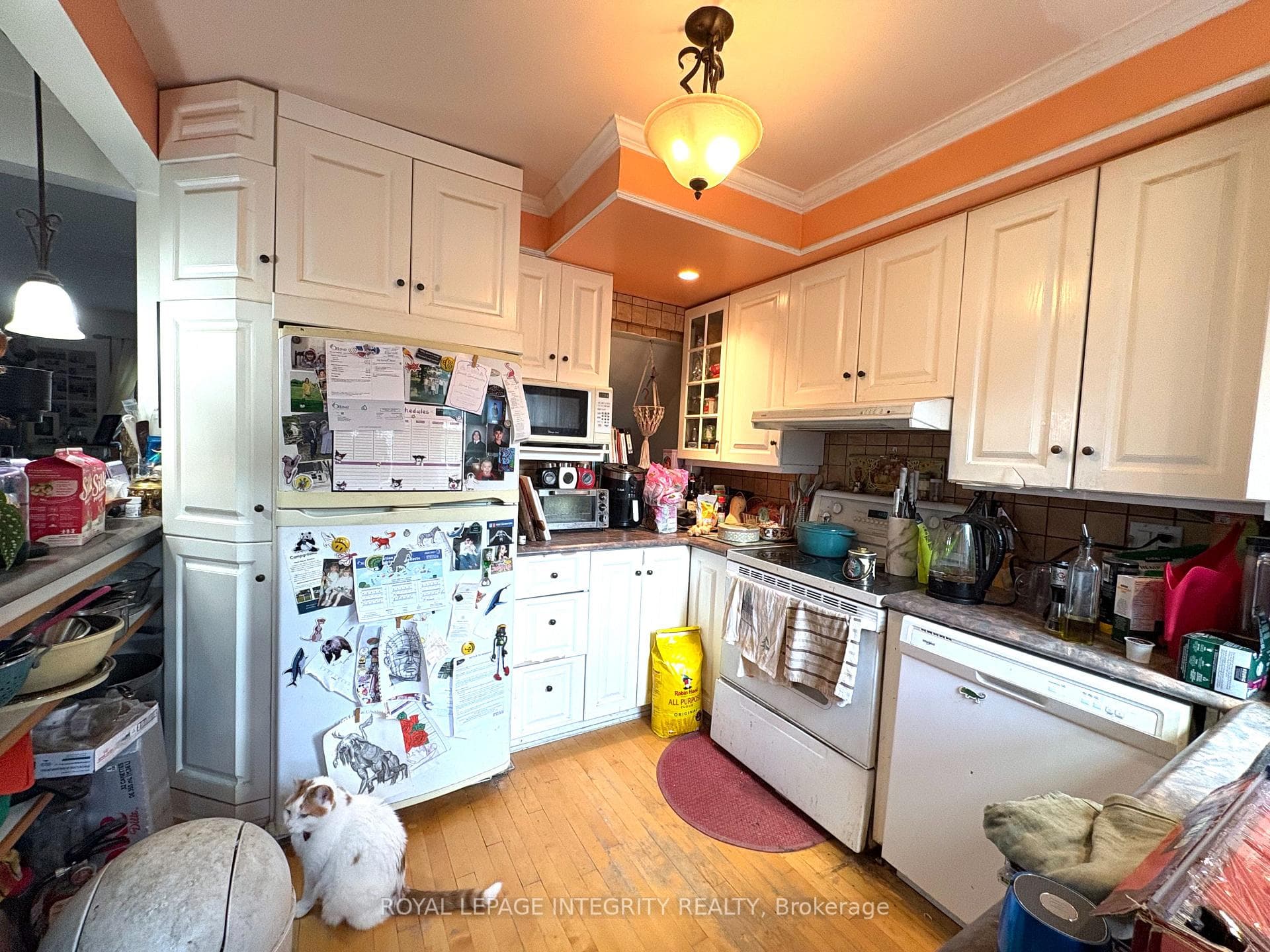 1222 Dorchester Avenue photo 13