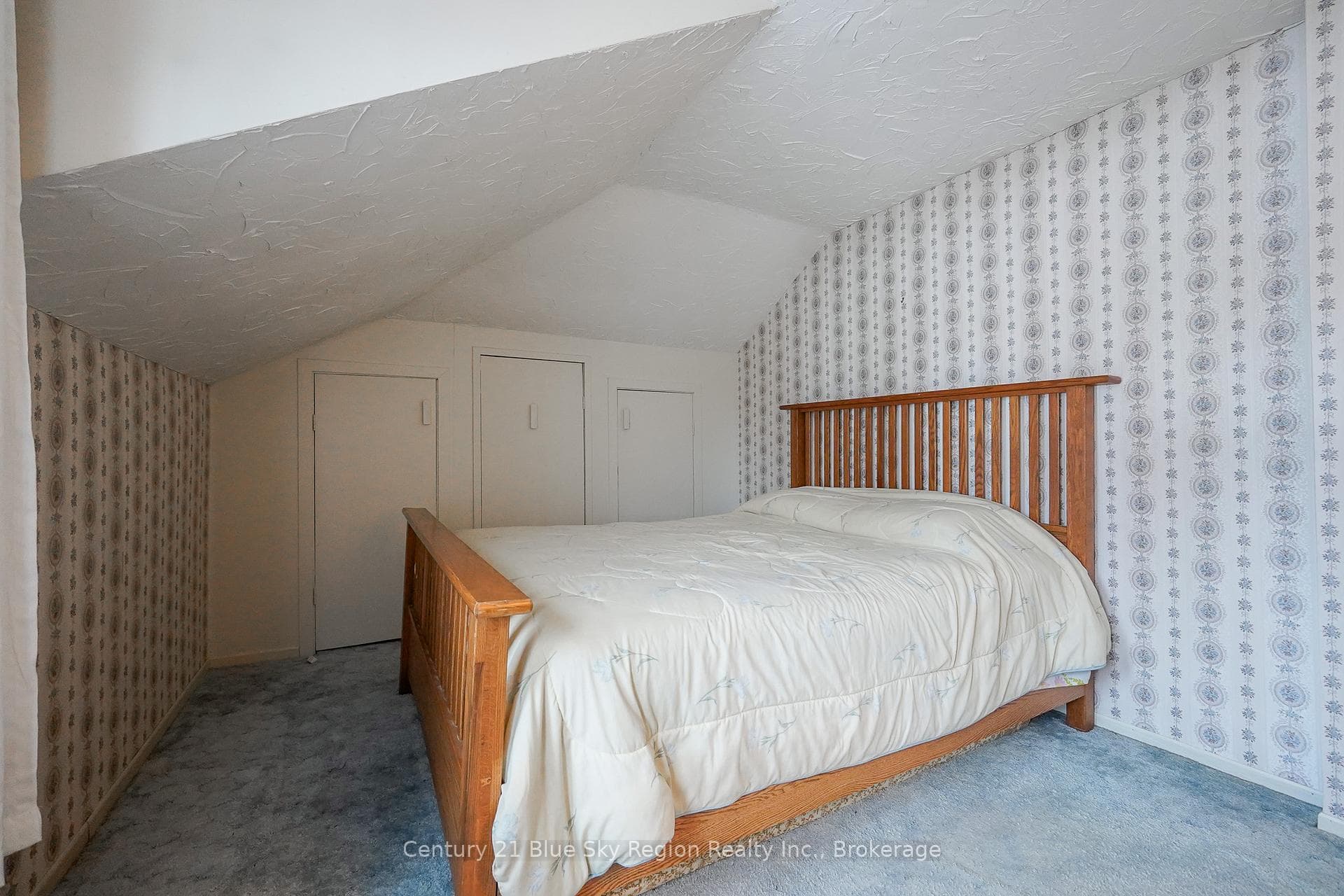 22 Dubeau Street photo 22