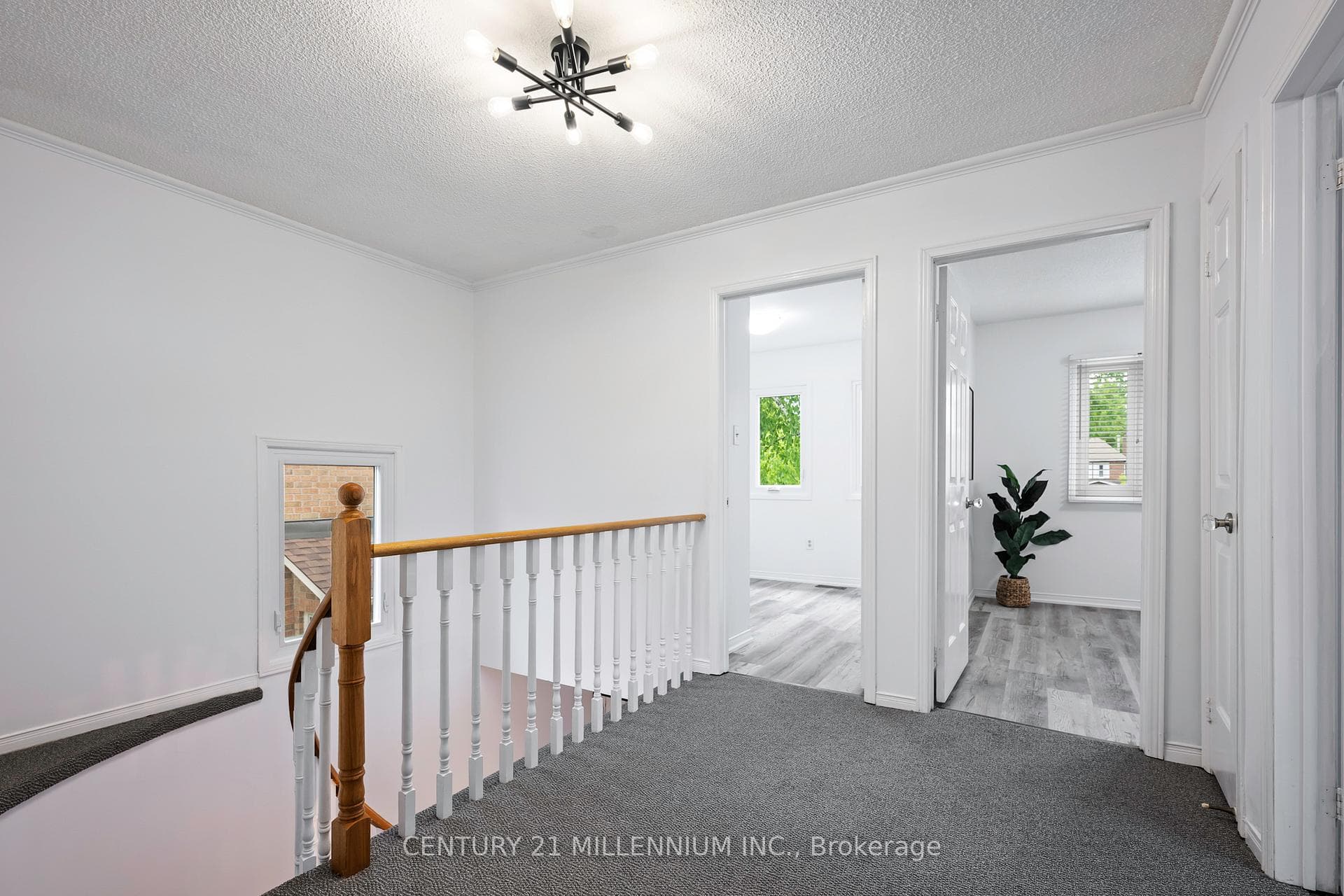 14 Killarney Court photo 19