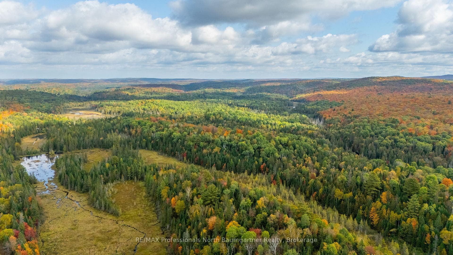 1099 Penzance Trail photo 10