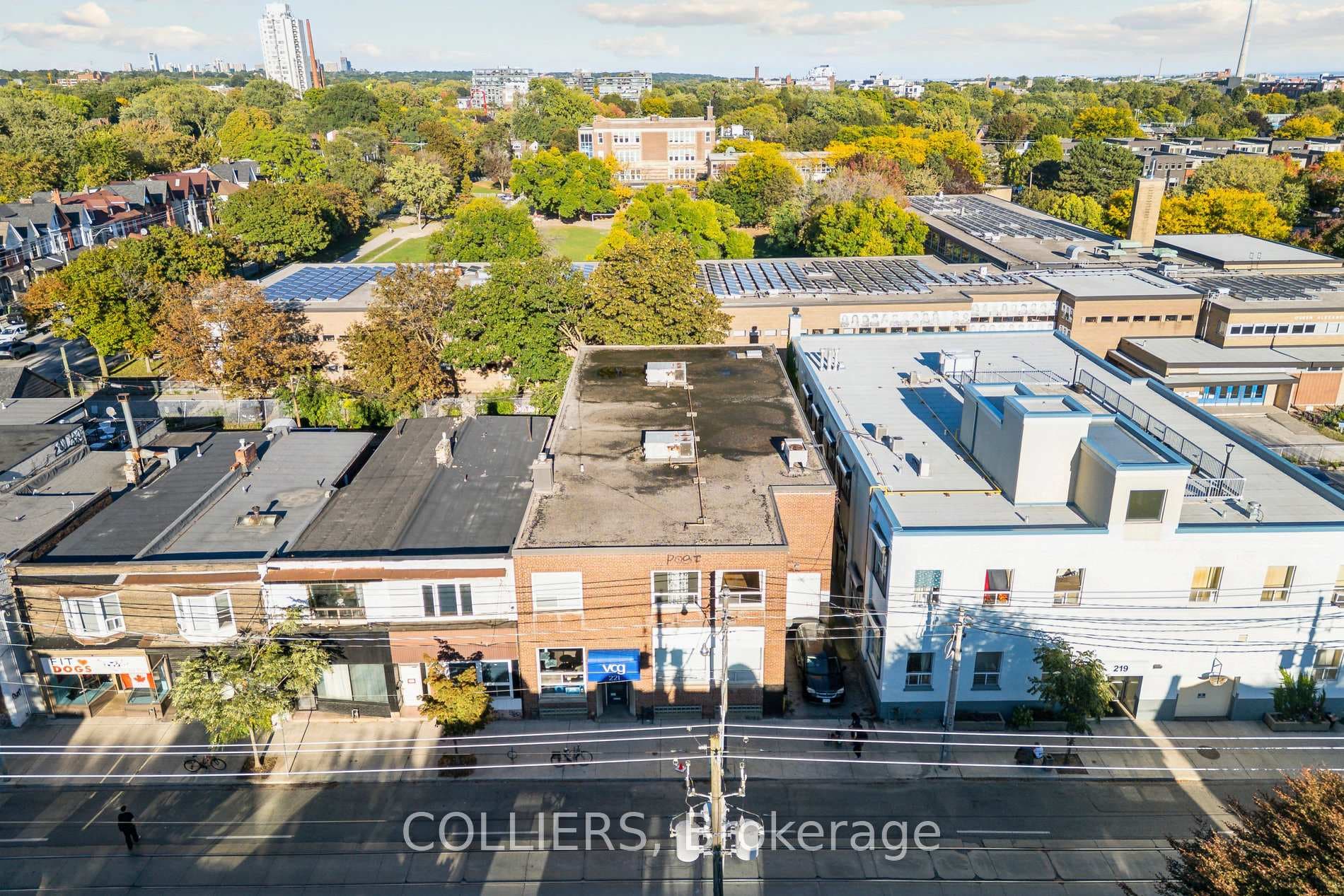 221 Broadview Avenue photo 16