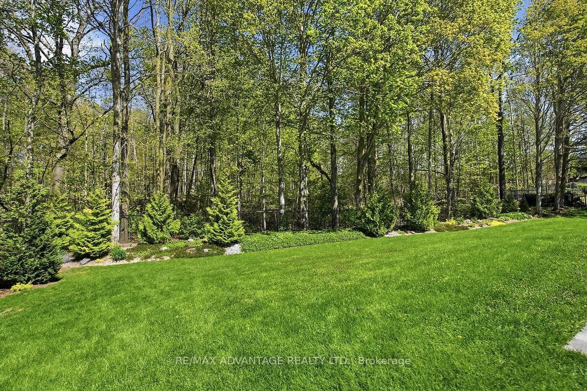 28 Wynfield Lane photo 42