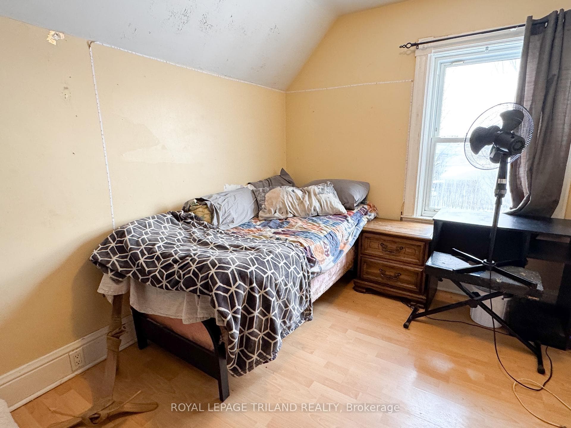 47 Malakoff Street photo 25