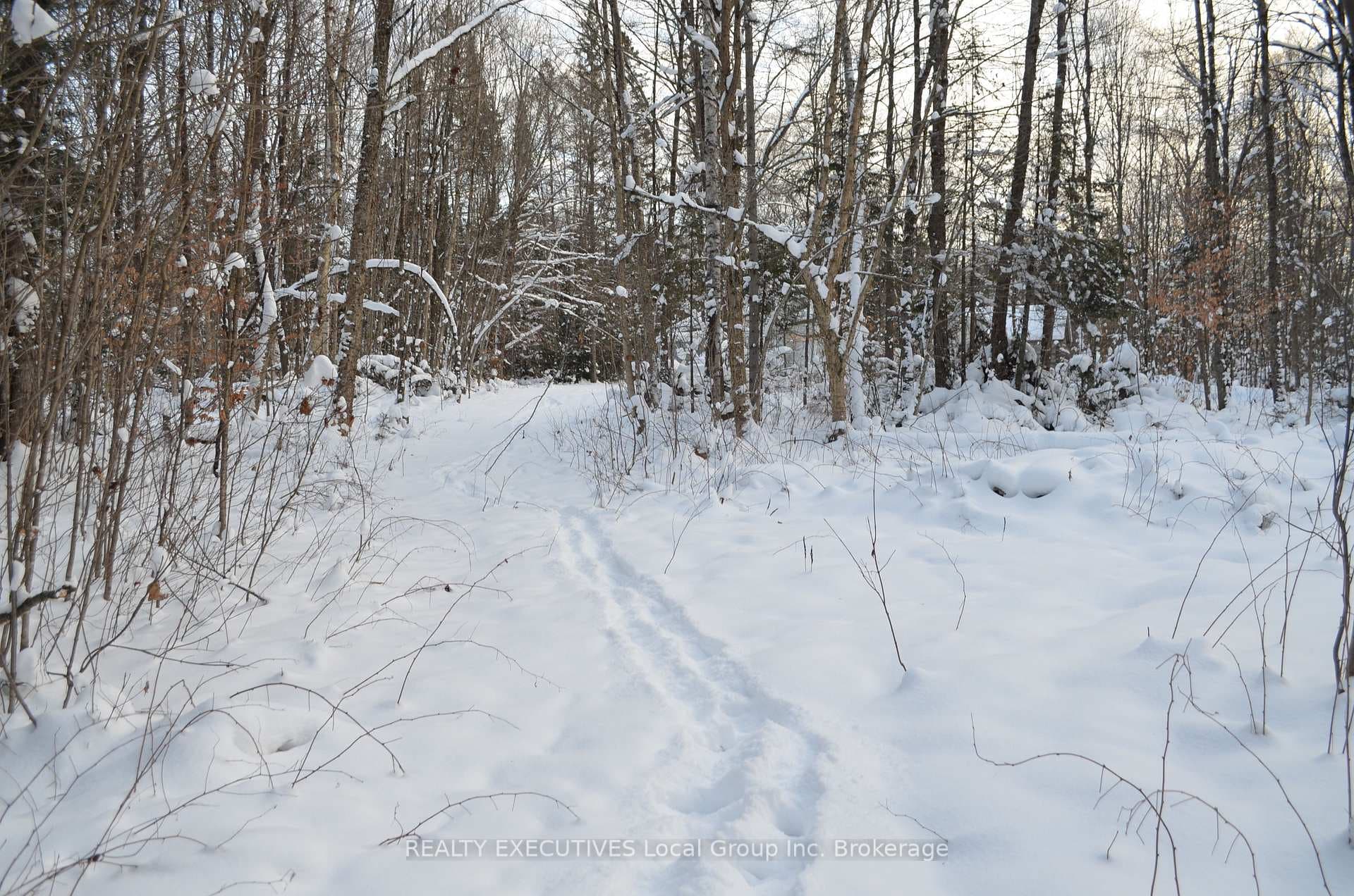 584 Proudfoot Road photo 36