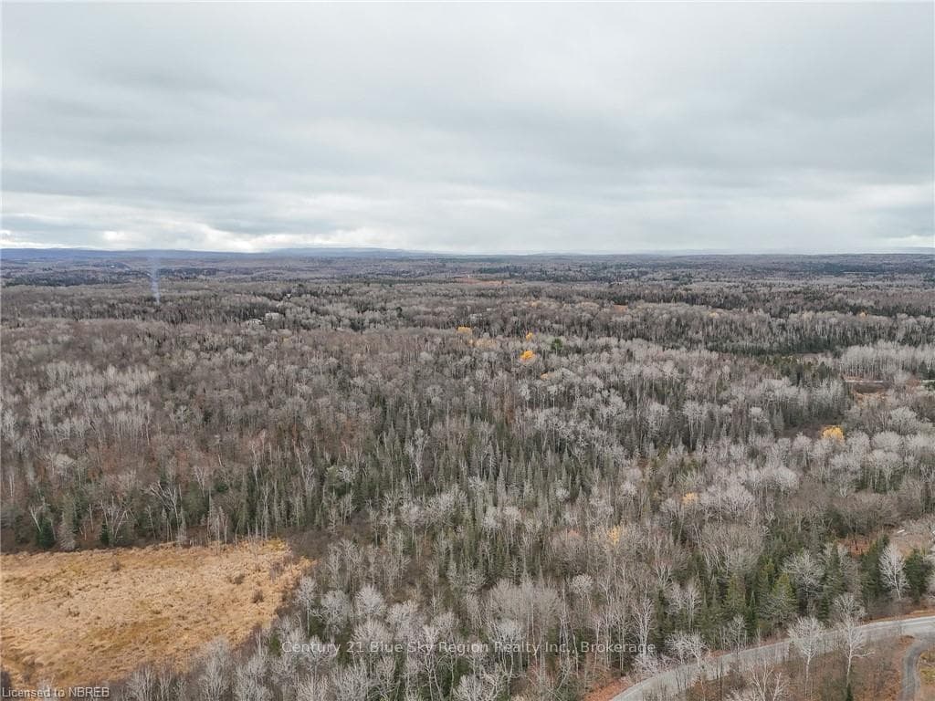 194 EDMOND Road photo 47