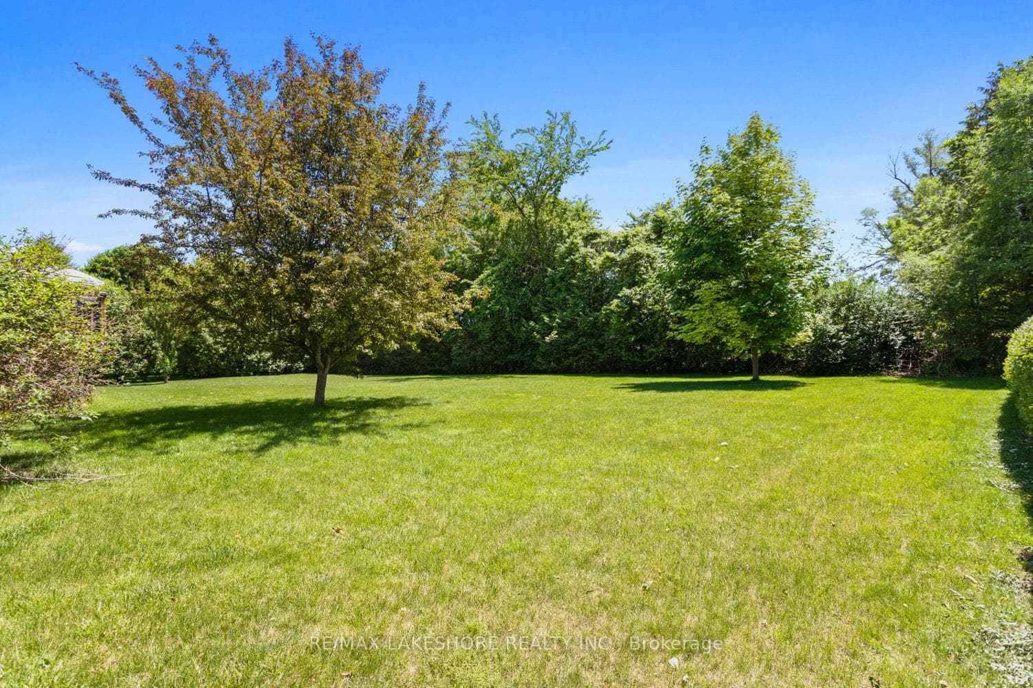 17 Behan Road photo 34