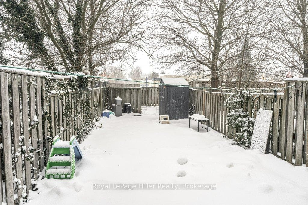 Backyard with new shed