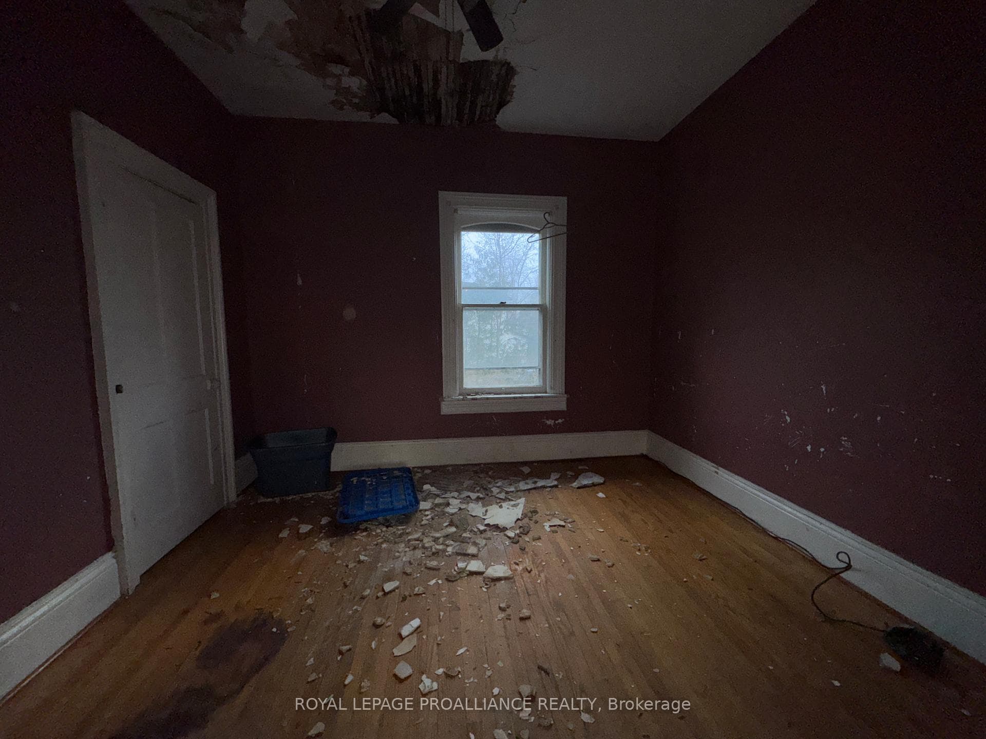 187 St George Street photo 31