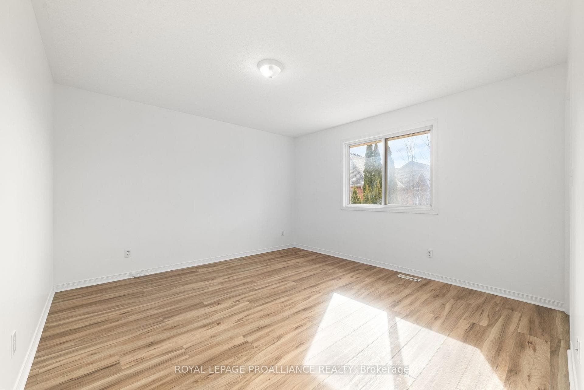 84 Gavey Street photo 29