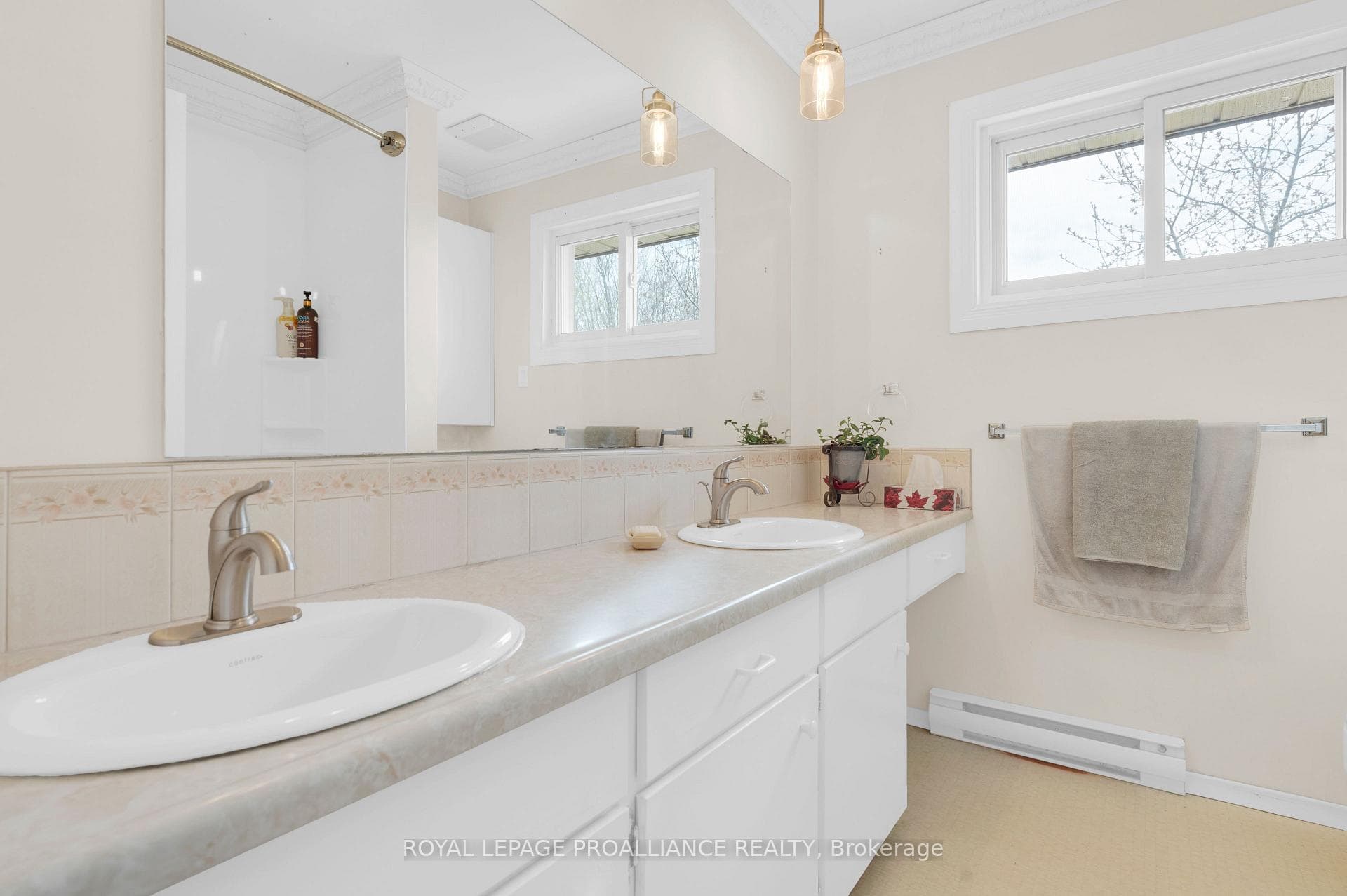 16 Thurlow Drive photo 18