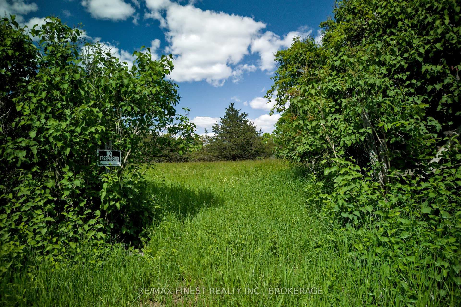 Lot 13 Front Road photo 13