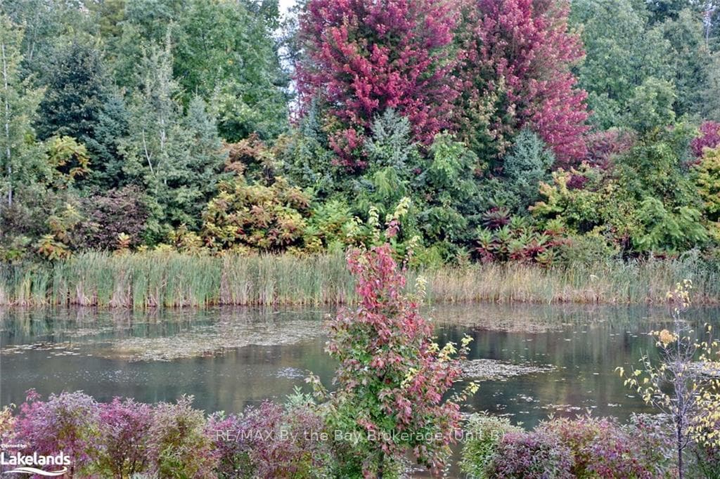 14 LITTLE RIVER N/A photo 3