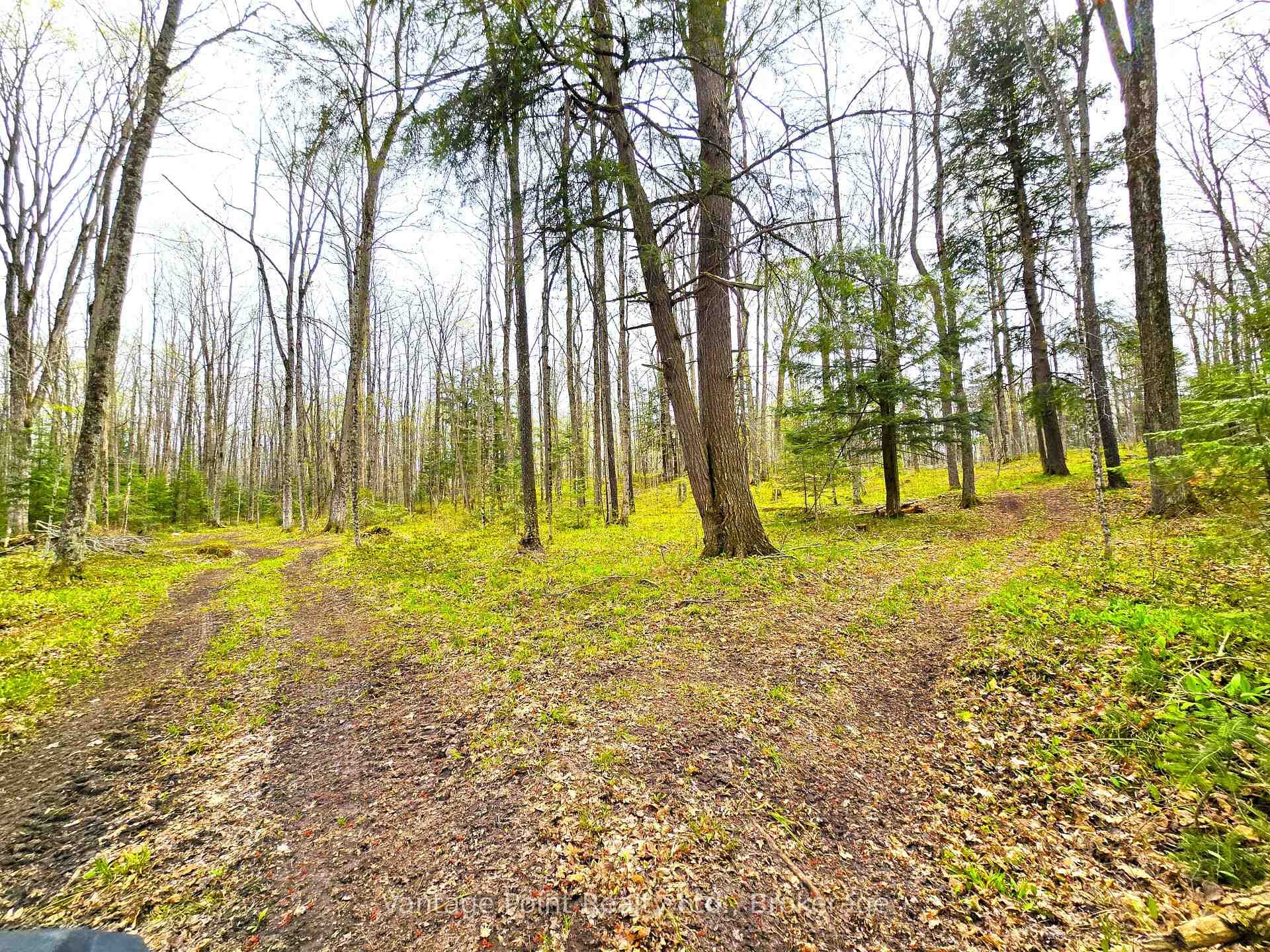 233154 2 Wgr Concession photo 40