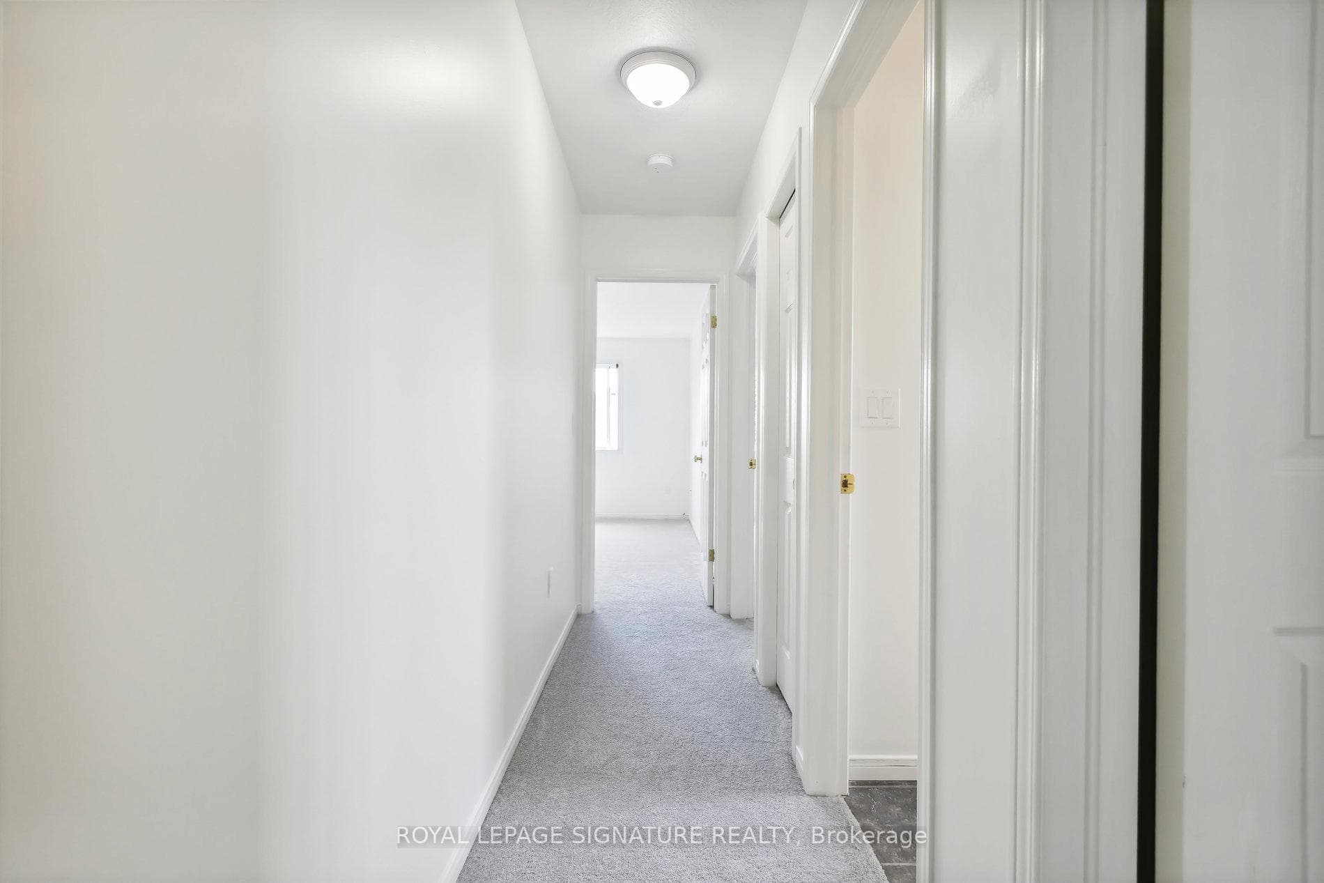 11 Lardner Street photo 18