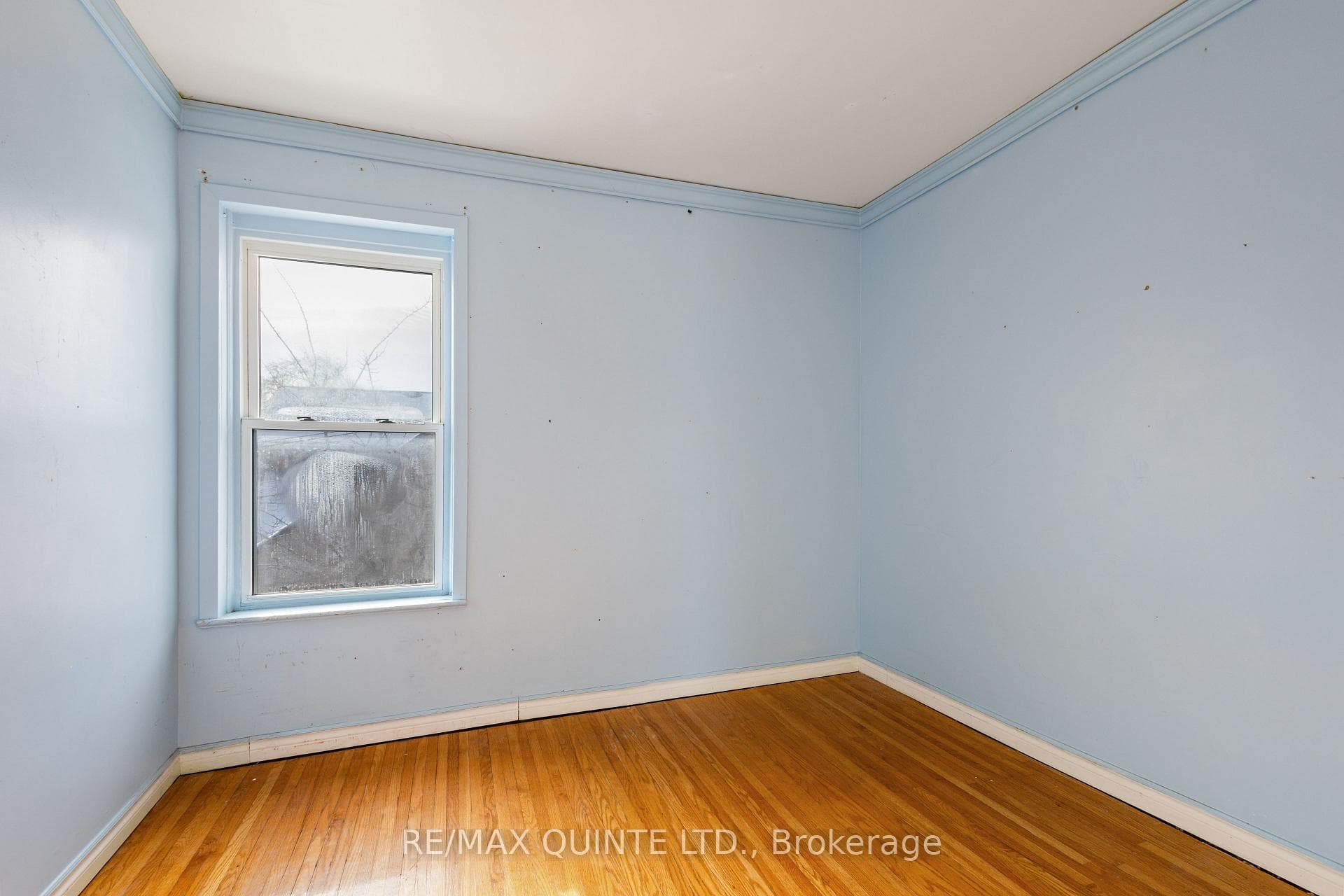 66 Dunbar Street photo 18