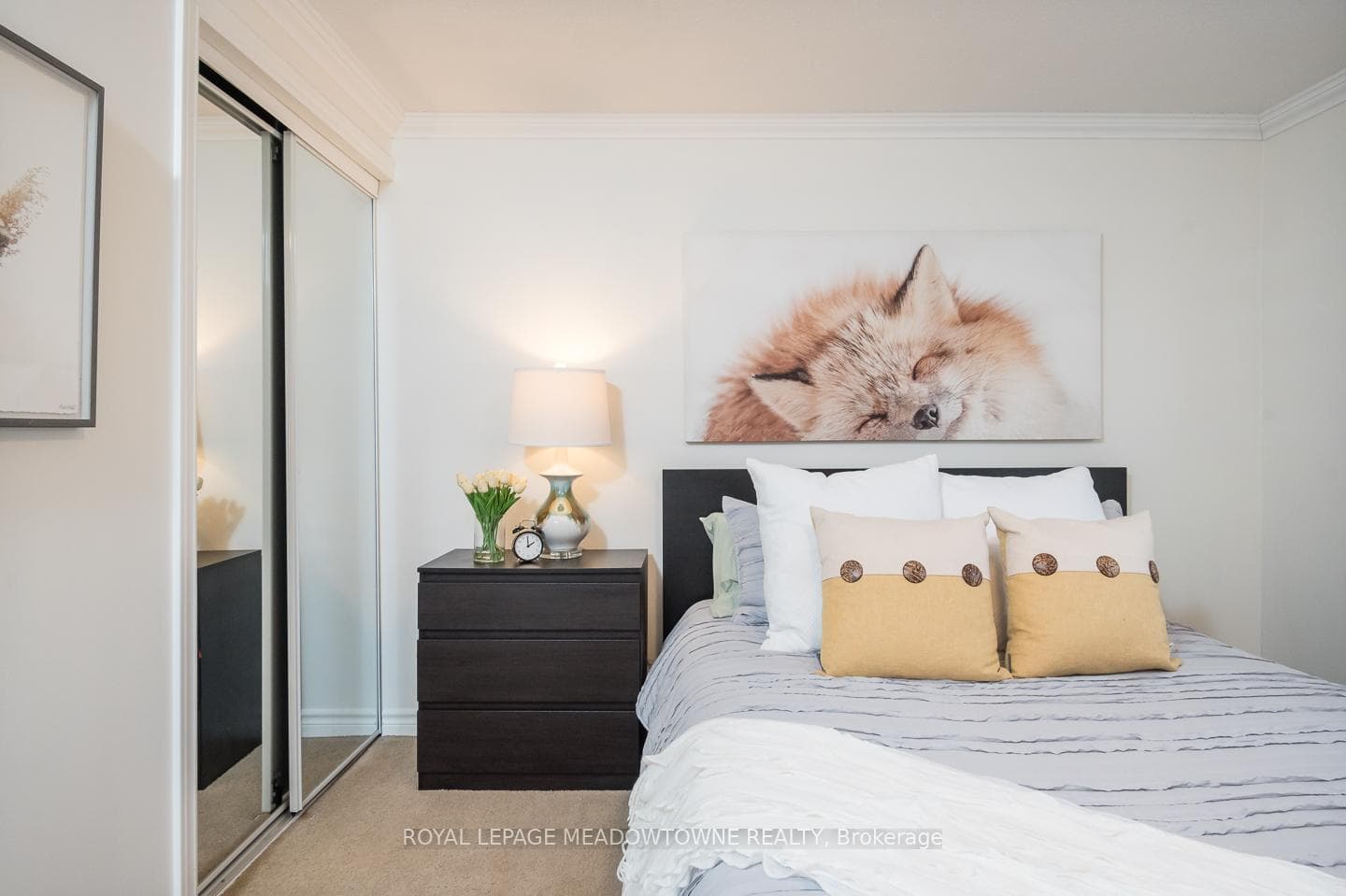 Zebra Window Treatment