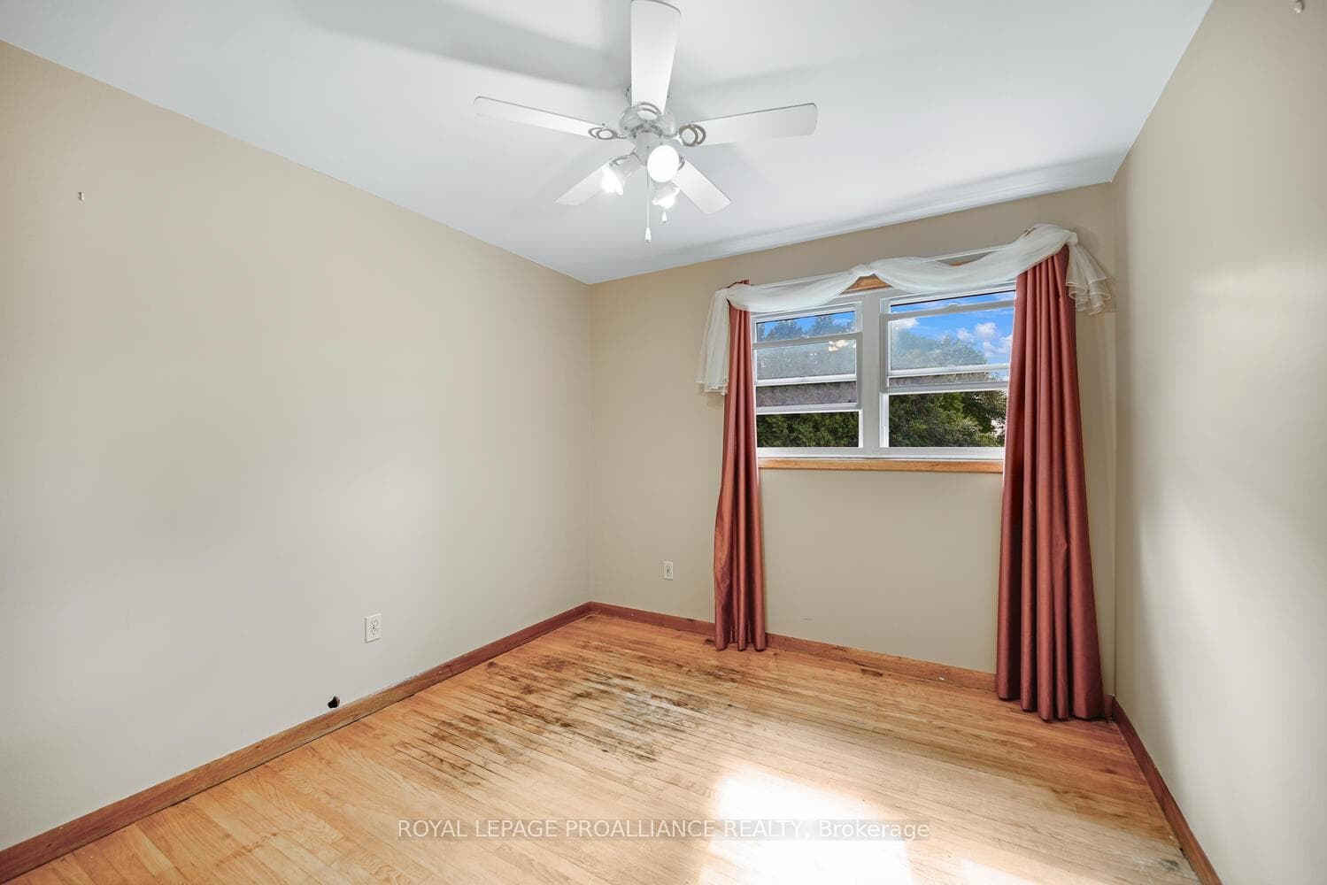 14 Davison Avenue photo 26
