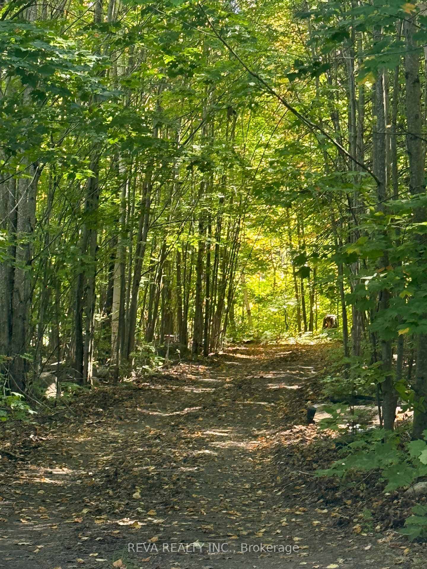 60 Pritchard Road photo 3