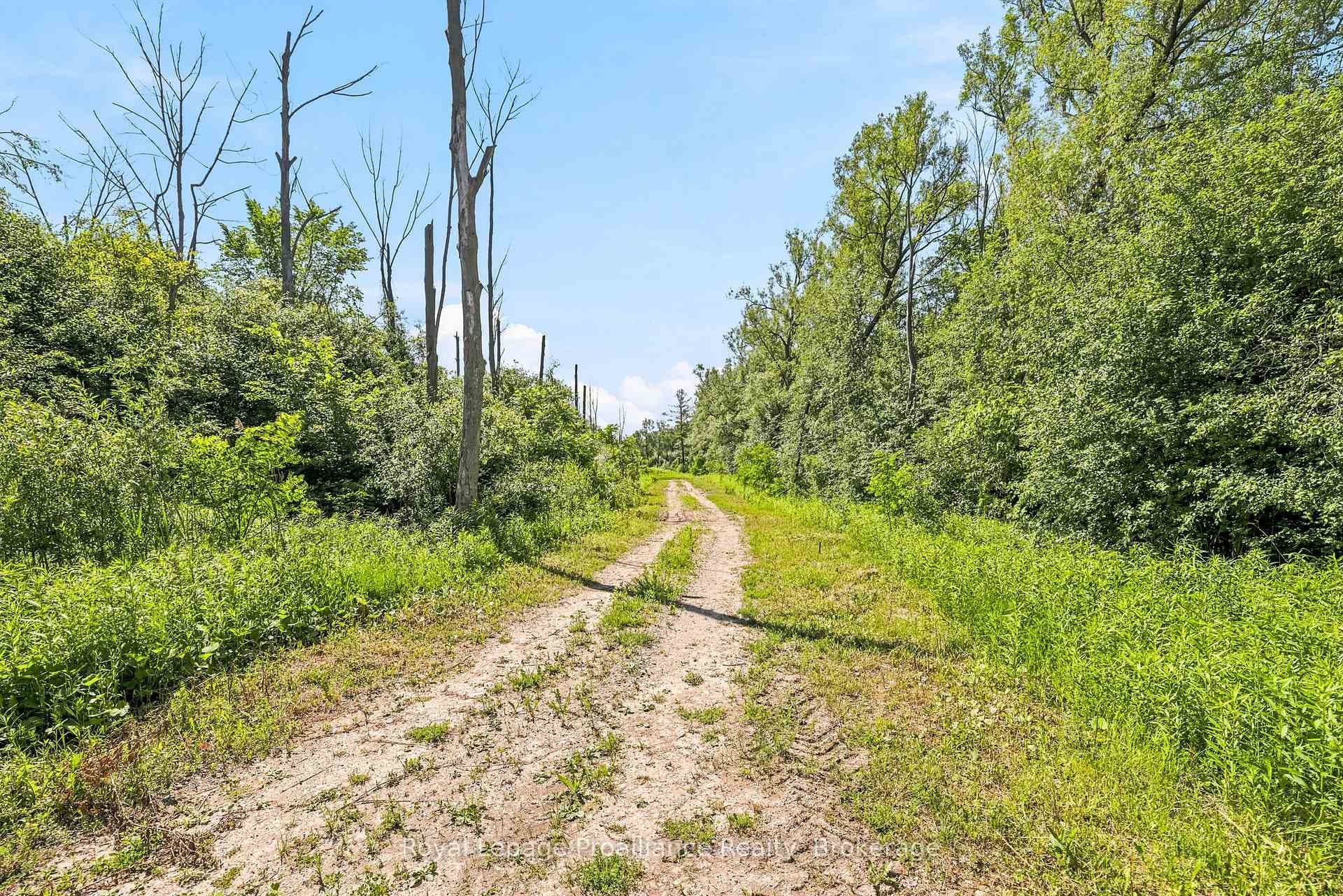 00 Bickle Hill Road photo 17