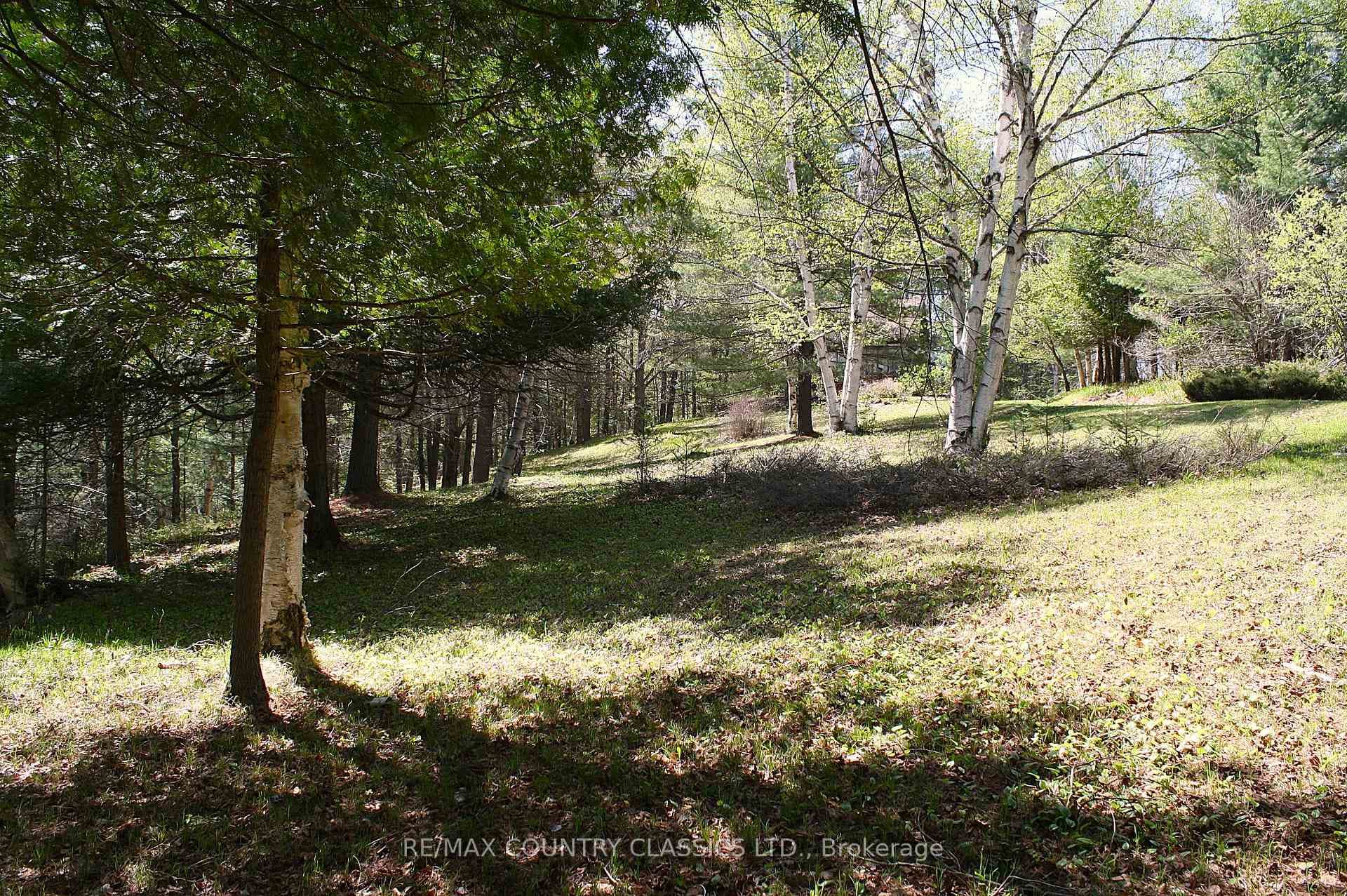 1060 Little Ireland Road photo 24