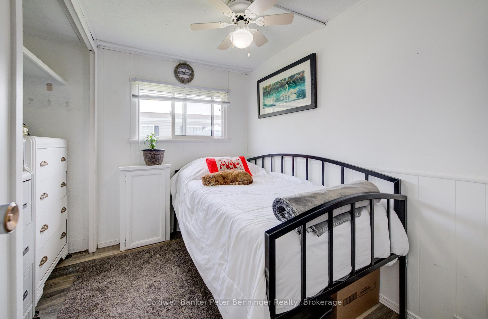 33 Dove Road photo 22