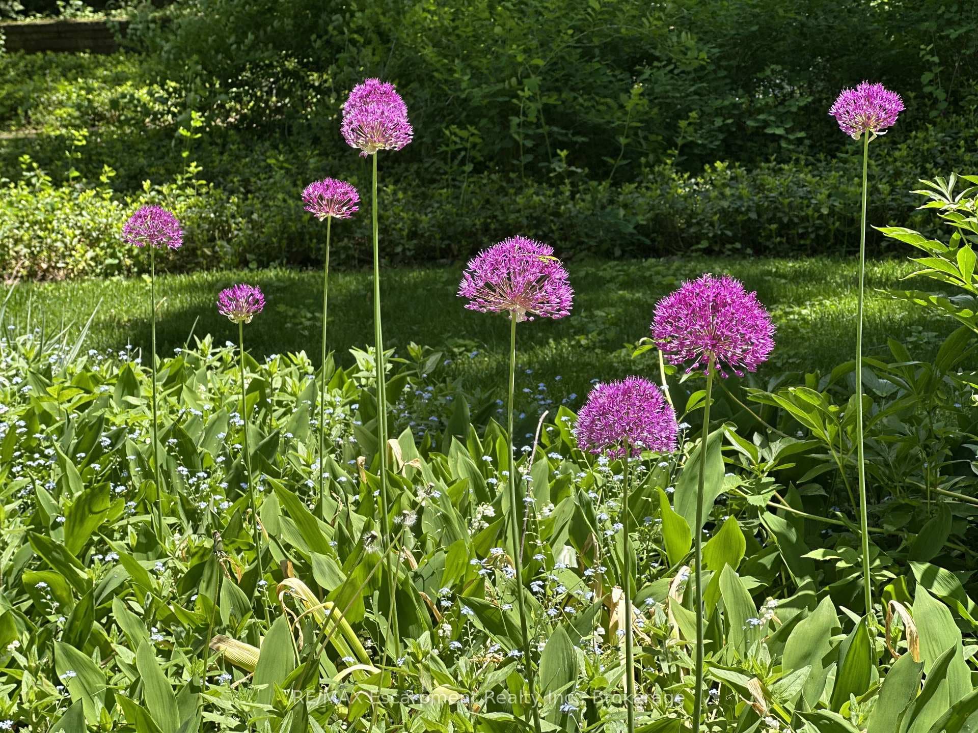 488 Macdonald Road photo 24
