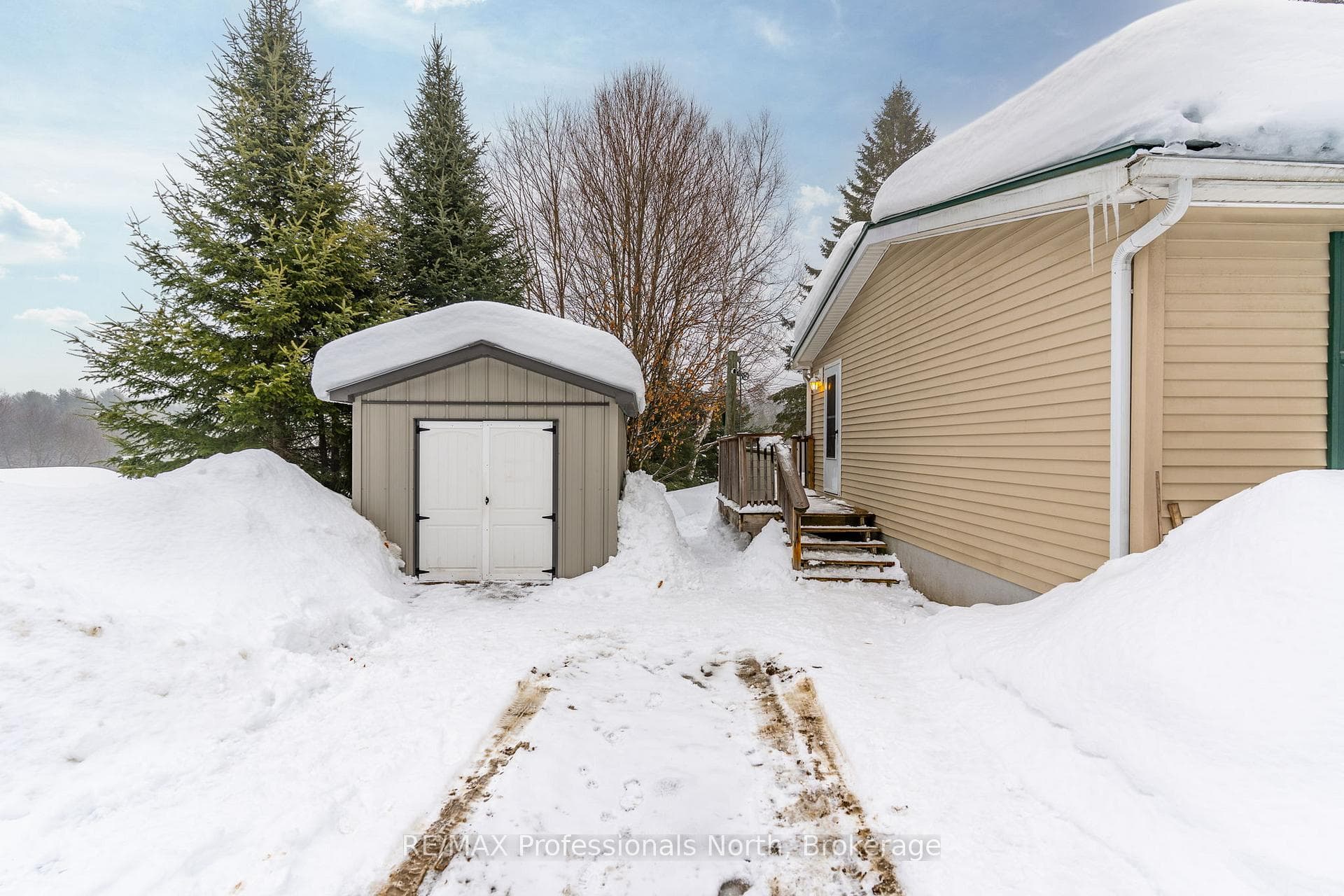 Driveway with newer shed (2020) and Side Entrance
