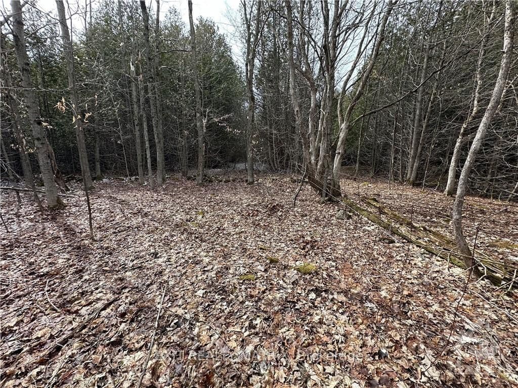 8447 PANA Road photo 26