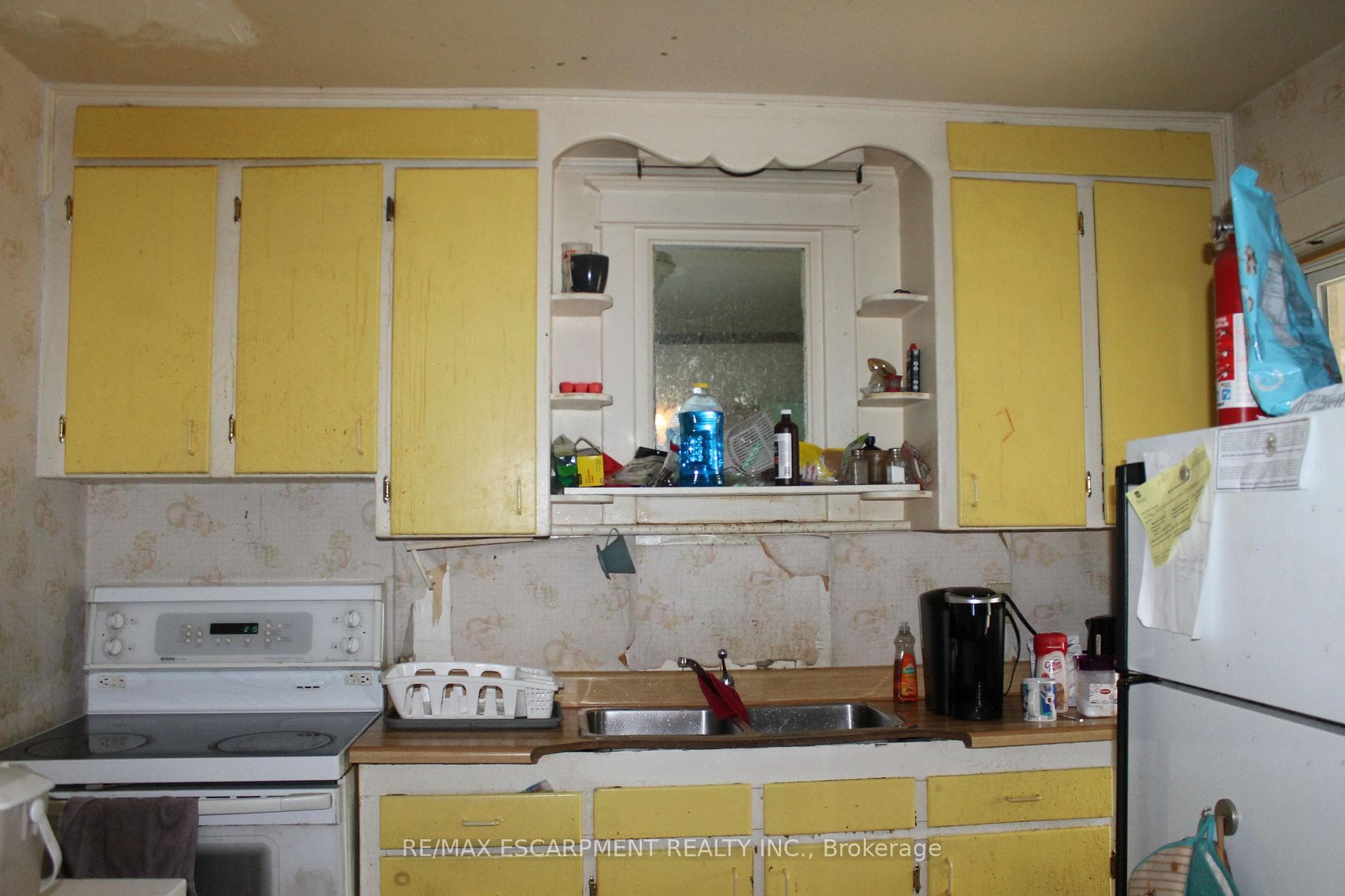 77 Hope Avenue photo 6