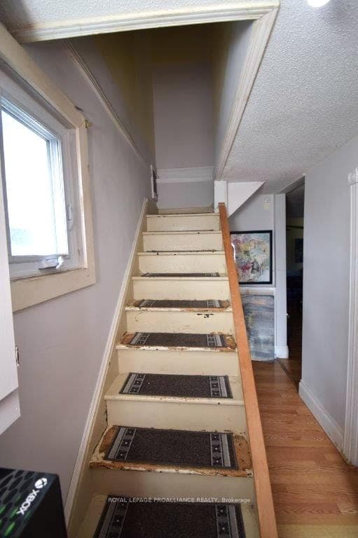 206 College Street photo 9