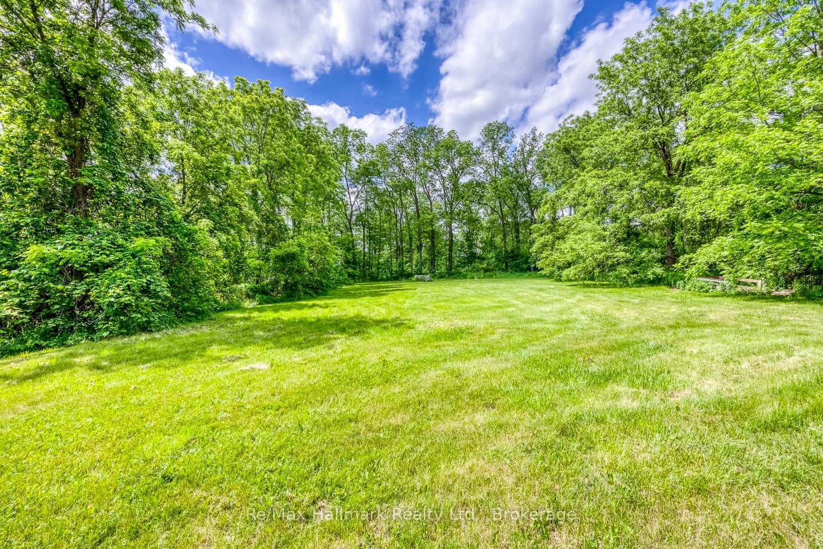 5371 Dundas Street photo 44