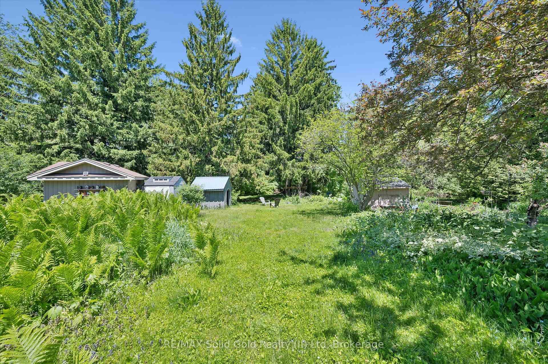74 Homewood Avenue photo 37