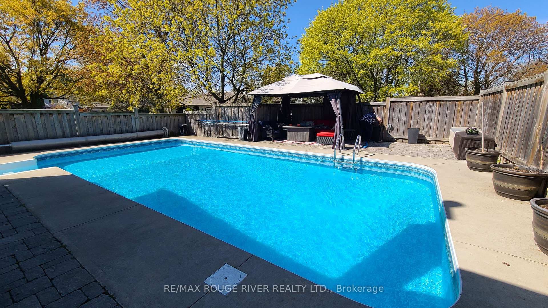 209 Darcy Street photo 38