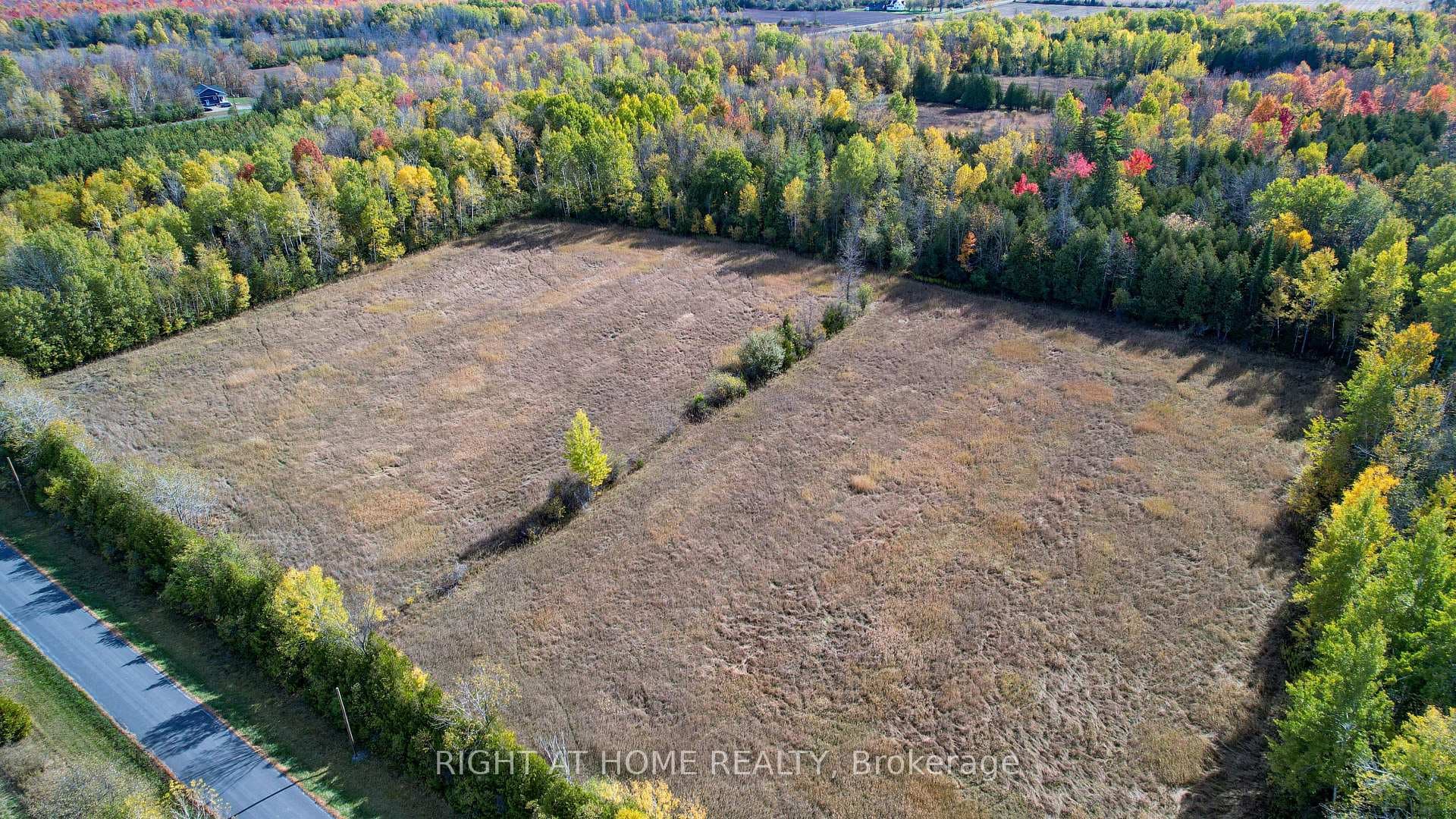 Open fields at North end of property.