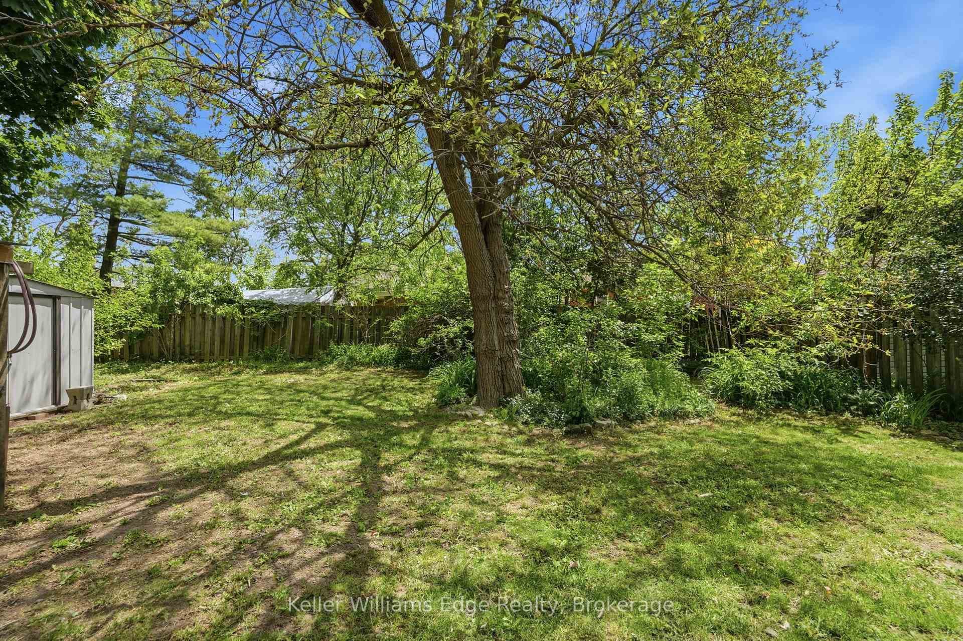 99 St Andrews Street photo 38