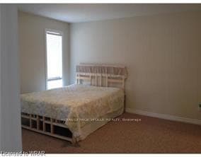 16 Todd Way photo 8