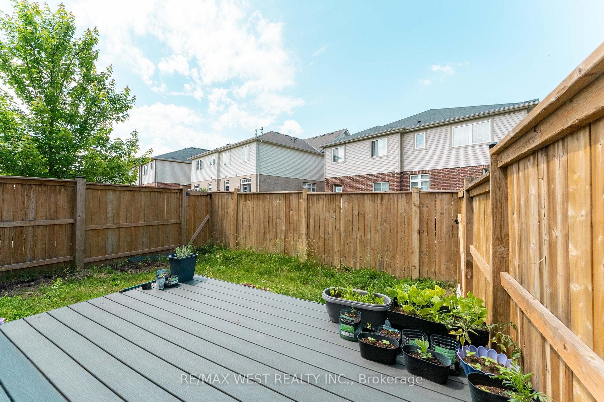 24 Dewberry Drive photo 37