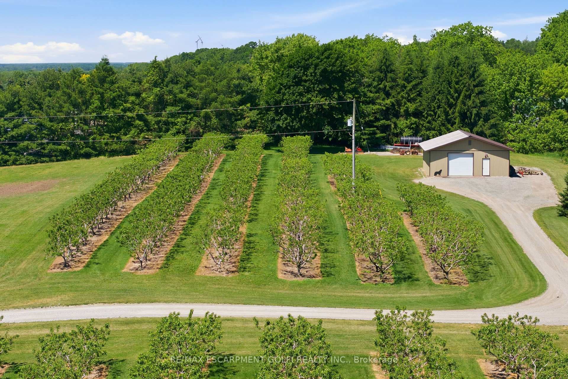 461 TICE Road photo 42